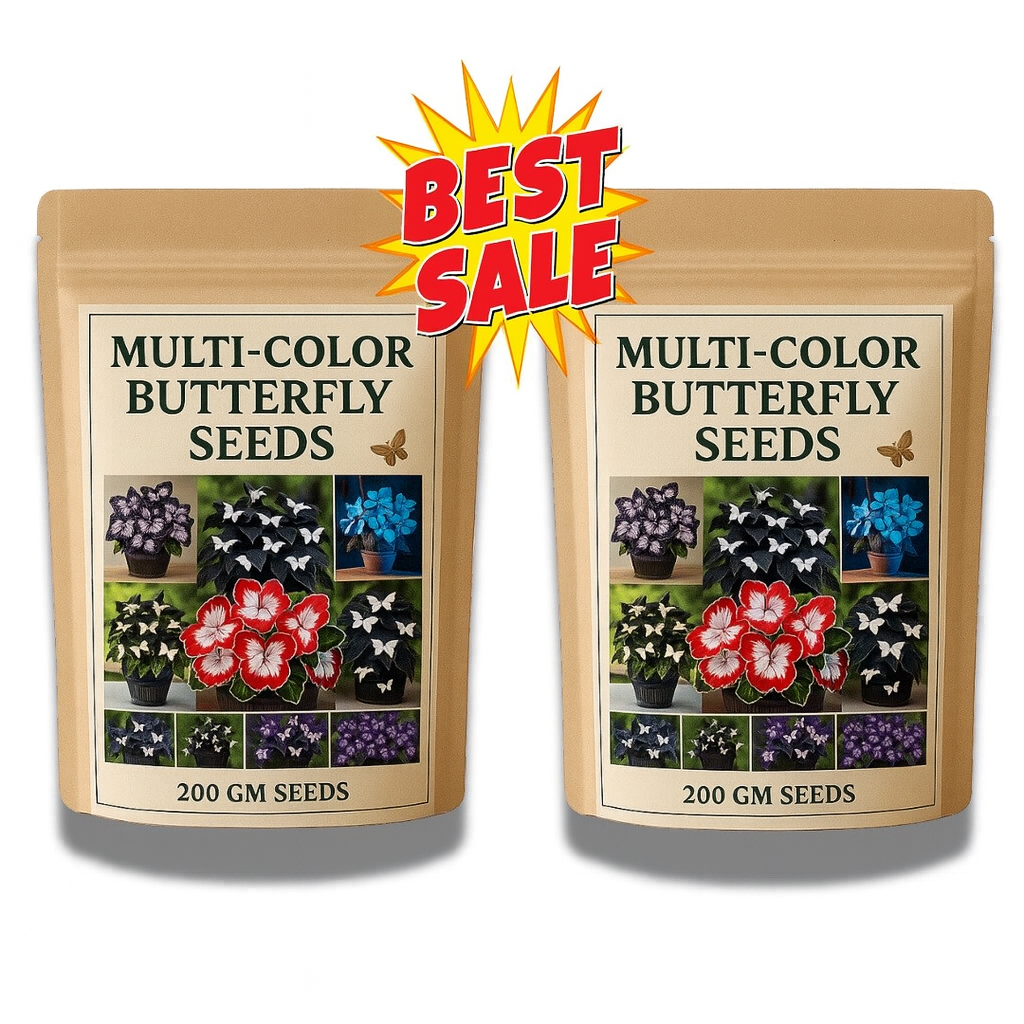 🌸 Multi-Color Butterfly Bloom™ Seeds — India’s Most Magical Living Garden